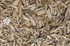 biomass boilers Carnedd