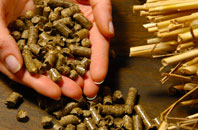 free Carnedd biomass boiler quotes