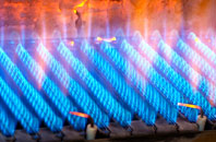Carnedd gas fired boilers